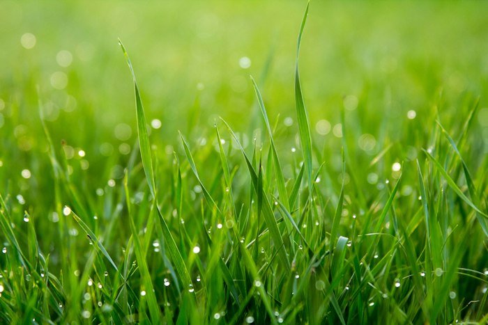 Lush green artificial grass carpet installation on apartment balcony in Greater Noida